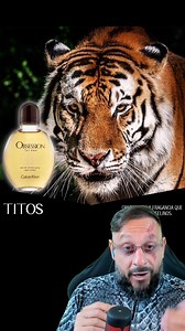 1.1M views · 48K reactions | Cuidado na trilha, o perfume Obsession for Men da Calvin Klein atrai grandes felinos vídeo colab com @dariocastropiaui | Biólogo Henrique o Biólogo das Cobras | Facebook
