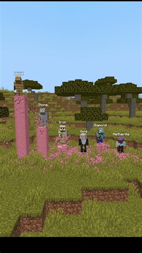 Which Axe is FASTER? #minecraft #minecraftmeme