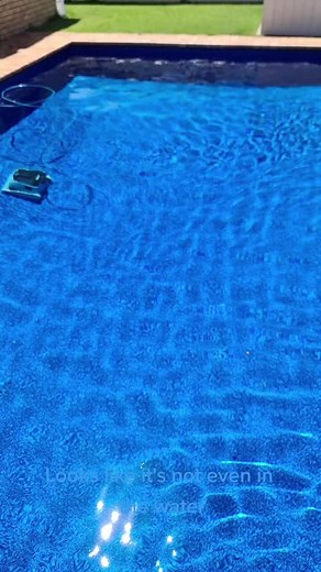 spongebob going swimming