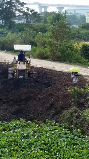 Bulldozer Filling Lake: Incredible Earthmoving Technique