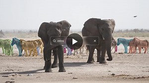 Meta's SAM 3: A Universal Segmentation Model for Video and 3D Environments | Adnan S. posted on the topic | LinkedIn