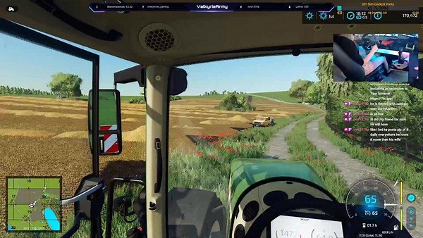 dominika_valkyrie - Twitch