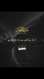 1.2M views · 141K reactions | ❤️ . . . . . . . The Evolution of...