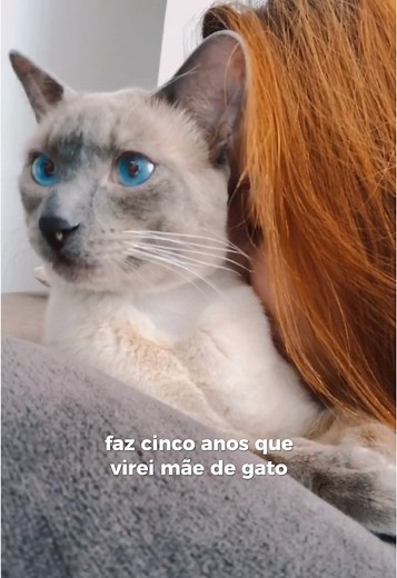 Cinco Anos com Meu Gato Buck: Uma História de Amor