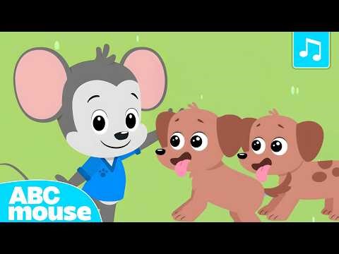 Word Family Song for Kids 🎵🐾 | -ET Words (Pet, Vet, Met!) | ABCmouse