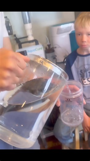 27K views · 457 reactions | This has been the BEST addition to our...