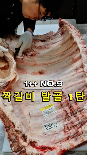 1++ No.9 Hanwoo Short Rib Butchery Part 1 | The Dismantling Process from Outside Skirt to Brisket...