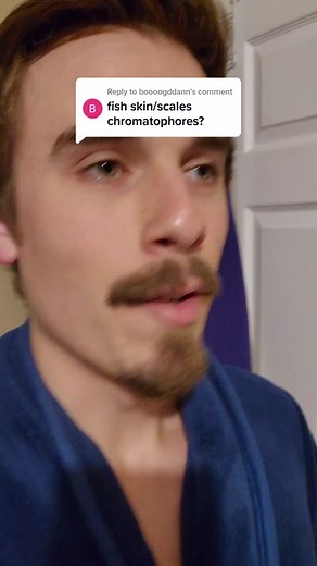 Macro Fish Photography Challenge: Guess the Kitchen Food!