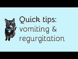 Vomiting and regurgitation
