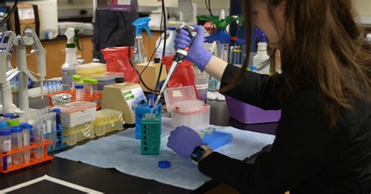 Fighting staph infections: MSU Billings microbiologist wins research awards