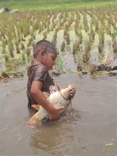 Kid vs Giant River Fish
