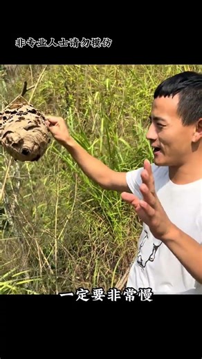 Beekeeping in Rural Fields: The Unsung Heroes of Agriculture