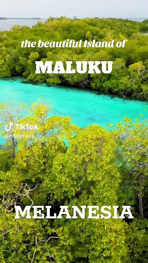 Explore the Beauty of the Maluku Islands