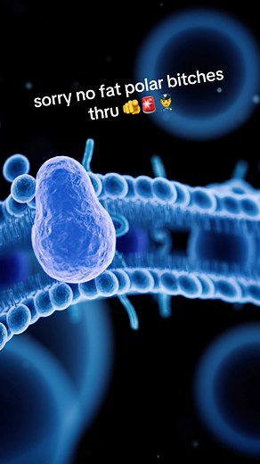 NONPOLAR AND SMALL POLAR MOLECULES ONLY IN SIMPLE DIFFUSION ⚠️ #apbio #apbiology #biology #bio #science #cell #cellmembrane #diffusion #billnye #billnyethescienceguy #fyp #fypage #foryou #fypシ #stem #baddies
