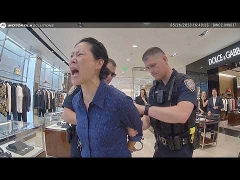 Asian Woman Arrested 4 Times Caught Stealing $3,895 in Luxury Items