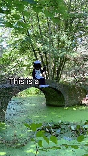 Exploring the UTM Watkins Pond Bridge in Mississauga