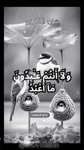 #surah kaferoon in beautiful voice #axzon Ibrahim ##arabic #viral #shortsfeed