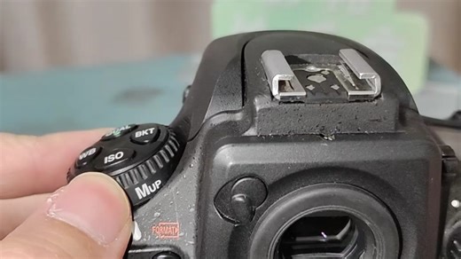 尼康D800 保姆级 全面教学