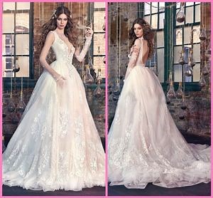 [Hot Item] Lace Backless Bridal Gowns Sheer V-Neck Sleeves Wedding Dress Z2064