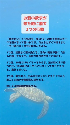 お酒の飲みたい欲求を消す3つの行動【禁酒のコツ】