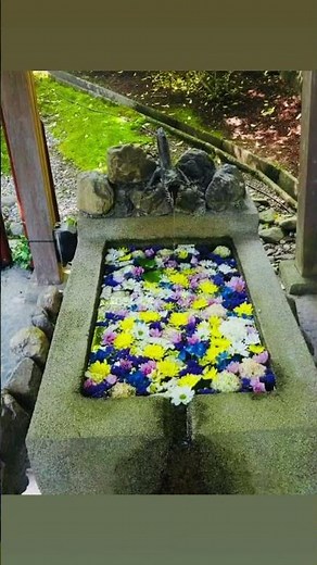 2023年5月到訪三方よし近江商人的故鄉～近江八幡#俯瞰近江市、琵琶湖美景#八幡堀：戰國時代連結琵琶湖的河道美景#LaCollina近江八幡：森林童話建築、年輪蛋糕#近江商人街道：誠實、親切、共榮