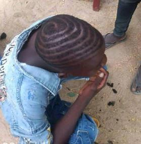 Zulum orders crackdown on ‘Marlian Group’