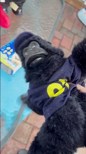 The healthy gorilla teaches you how to healthily make SpongeBob Mac and cheese with Mr krabs!