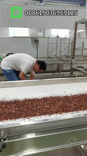 Automatic Cocoa Sheller, Winnower Machine #machine#cocoaprocessing #equipementindustriel