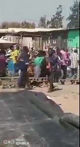 45K views · 486 reactions | Zambian Watchdog on Reels | Facebook