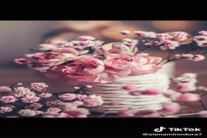 schönes Video 'Good morning(Roses) - Guten Morgen (Rosen)'