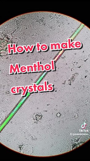 Creating Menthol Crystals from Mint Leaves