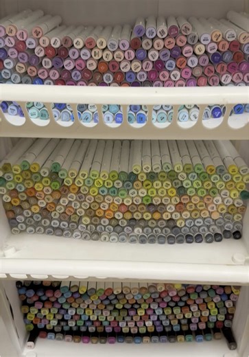 When you get a new obsession and have to constantly buy something new for it🤣 Colortok has took over my life and I still feel the need to buy WAY MORE!! #colortok #colorobsessed #adultcoloring #hyperfixated #cocowyocoloring #vivitintacoloring #southernlotuscoloring #suisuicoloring #ohuhumarkers #grabieacrylicmarkers @Vivi Tinta Coloring Book @cocowyocoloring @ohuhuart_us @grabieart