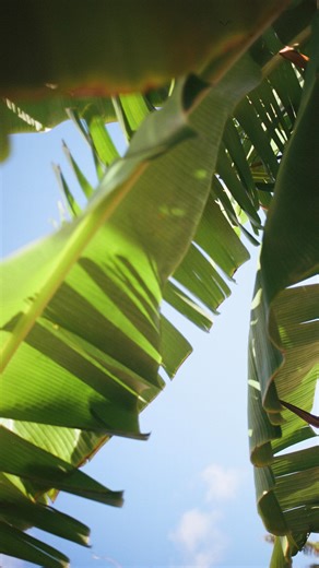 worm composting bin attempt #3 incoming! vermicomposting (composting via worms) has become our favorite composting method and we’re eager to become experts. Gotta fail a few times to learn though 🪱 // #wormcomposting #vermicompost #composting #athomecomposting #wormbin | Hancock Hale