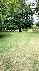 884K views · 34K reactions | #donkey #funny #animal #farm #farmlife #haha #donkeys #donkeyoftiktok... | Babyusa | Facebook