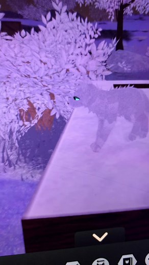 warrior cats (@warrior_catslife)’s videos with