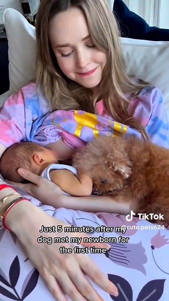 Funny Baby and Dog Stories: Cute Moments with Pets