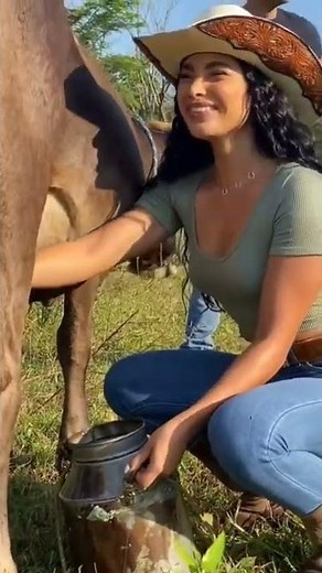 Milking a Cow or emm horse? Watch the Video❤️🎀❤️