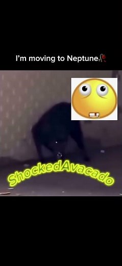 Aw hell nah twin😭 #memes #scary #fyp #catmemes