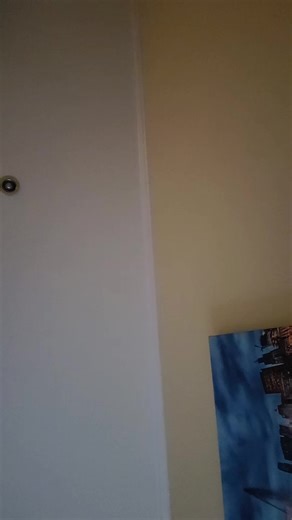 silphium (@silphium2.0)’s videos with original sound - marah.family🍉