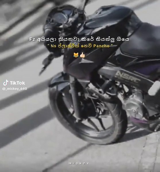 Ns ප්ලාස්ටික් නෙව් Pancho - Street Piranha Fun