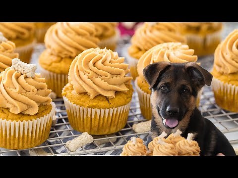 Pupcakes: Cupcakes Your Dog Will LOVE
