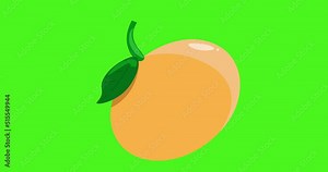 orange fruit with leaf moving left and right footage animation fruit
