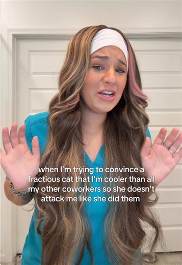 How to Win Over a Fractious Cat with Care