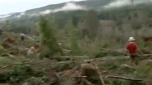 57K views · 545 reactions | Gabe Rygaard’s Final Words Reveal the Real Reason Ax Men Was Cancelled - Fans Can't Beleive it! | Jho Daily Vlogs | Facebook