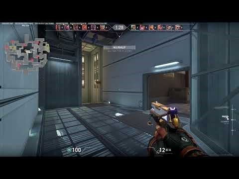 Champ Live Stream