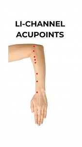 12K views · 247 reactions | The Large Intestine channel travels from...