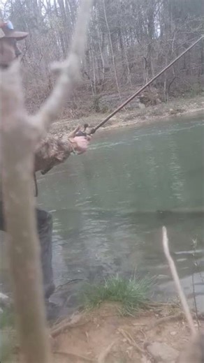 Found a better trout launching a crank...super upper water column cadence..