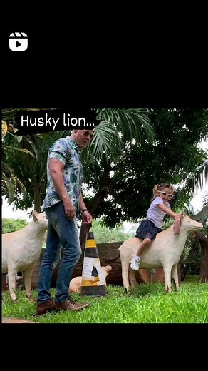 Husky Lion Crew on Reels