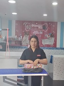 Glamour Pets on Reels