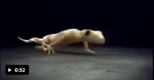 Why don't more poeple make ads like this? - Funny